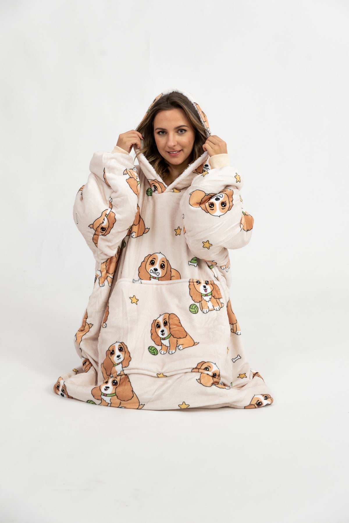 Spaniel Puló